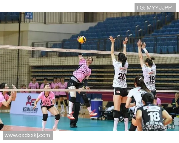 排球专题：聚焦上海排球队的力量